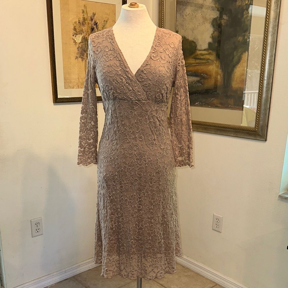 E. R. G. COLLECTION Elegant Gold Shimmer Lace Dress Size Large